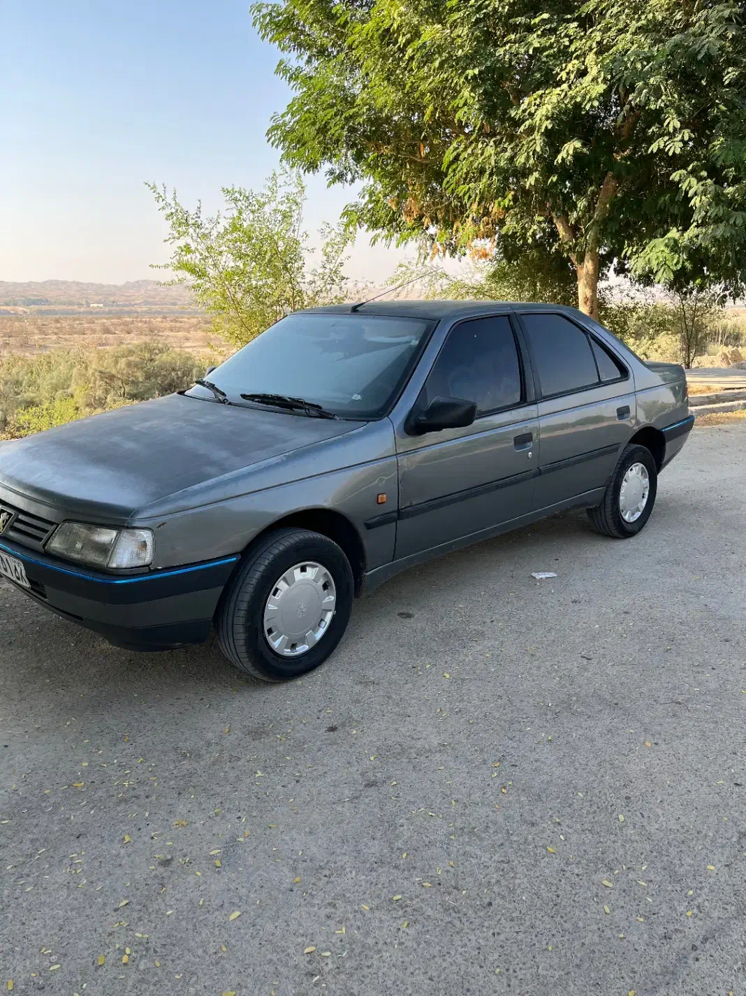 پژو 405 GLX - 1390