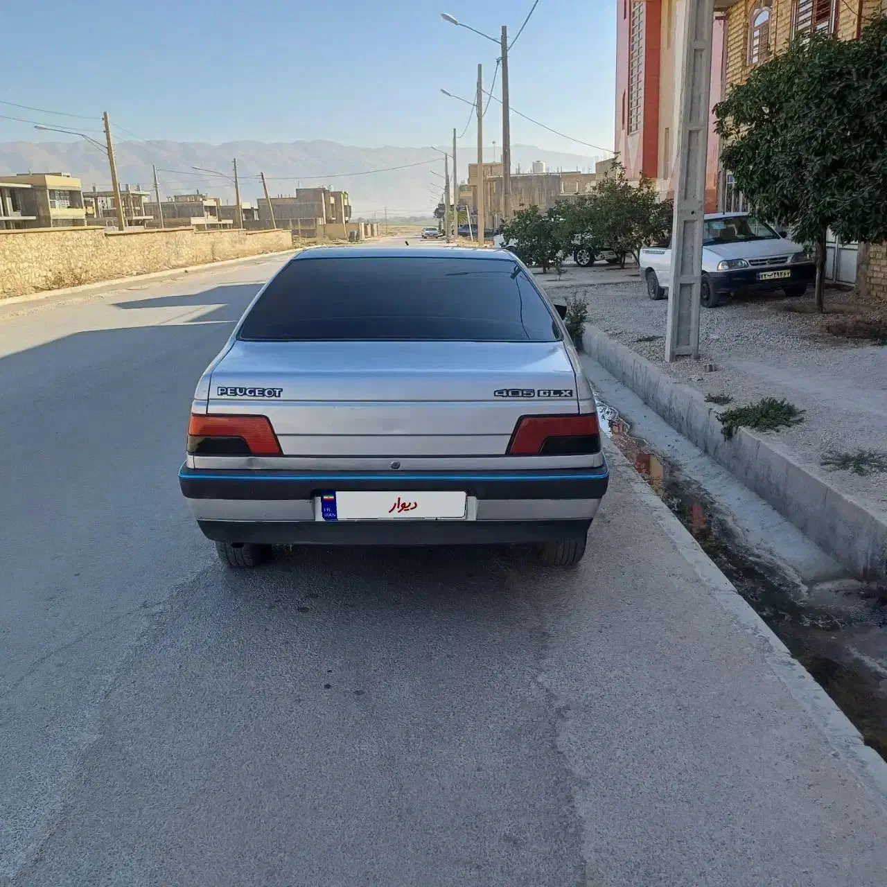 پژو 405 GLX - دوگانه سوز - 1393