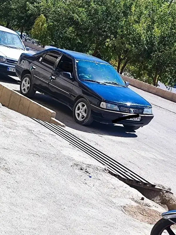 خودرو پژو، 405 آگهی ann_20814537
