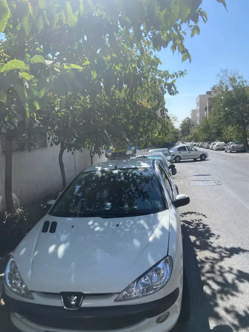 خودرو پژو، ۲۰۶ صندوق دار آگهی ann_20815321