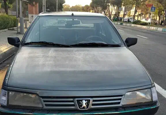 پژو 405 GLX - دوگانه سوز - 1391