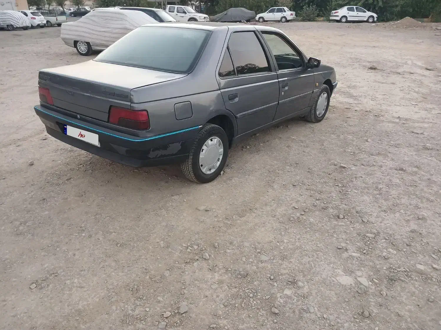 پژو 405 GLX - دوگانه سوز - 1395