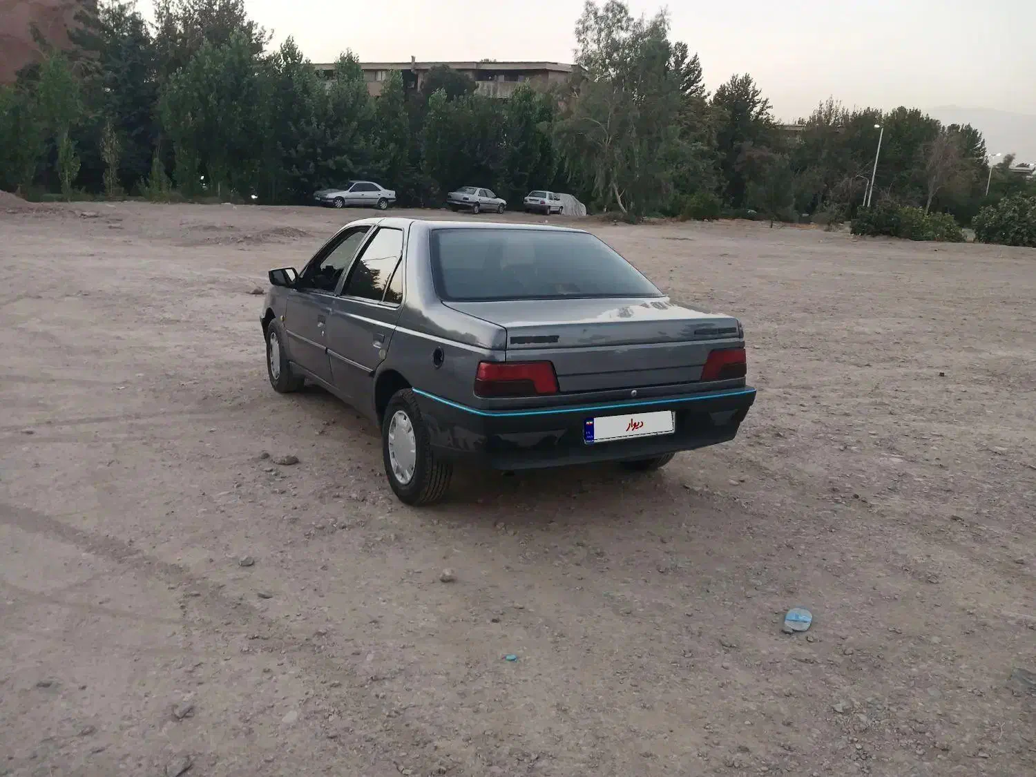 پژو 405 GLX - دوگانه سوز - 1395