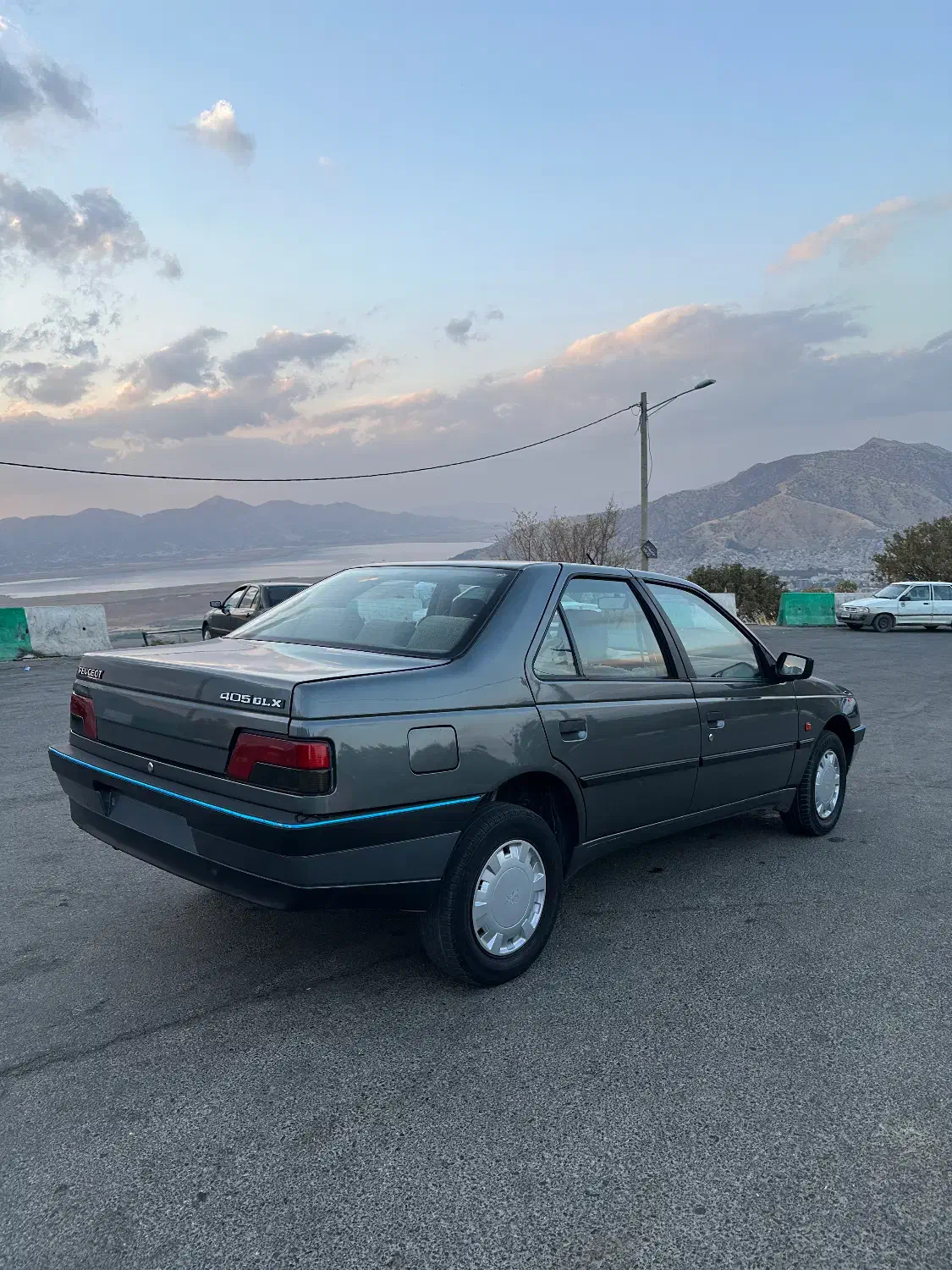 پژو 405 GLX - دوگانه سوز - 1394