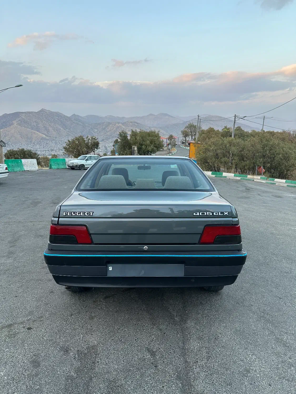 پژو 405 GLX - دوگانه سوز - 1394