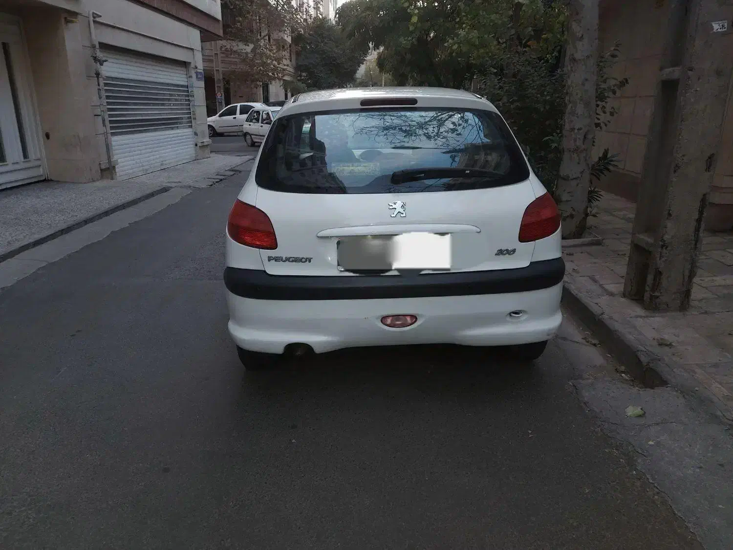 پژو 206 تیپ 6 - 1389
