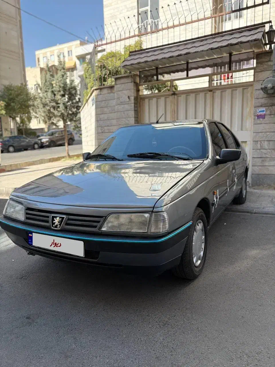 پژو 405 GLX - دوگانه سوز - 1391