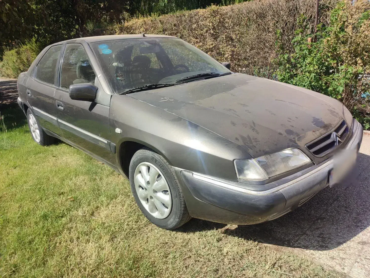 سیتروئن زانتیا SX - 1384