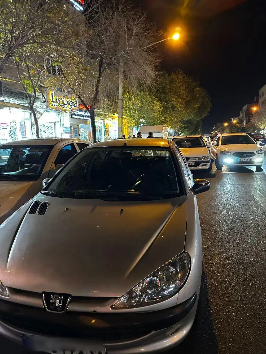 پژو ۲۰۶ صندوق دار v8 - 1389