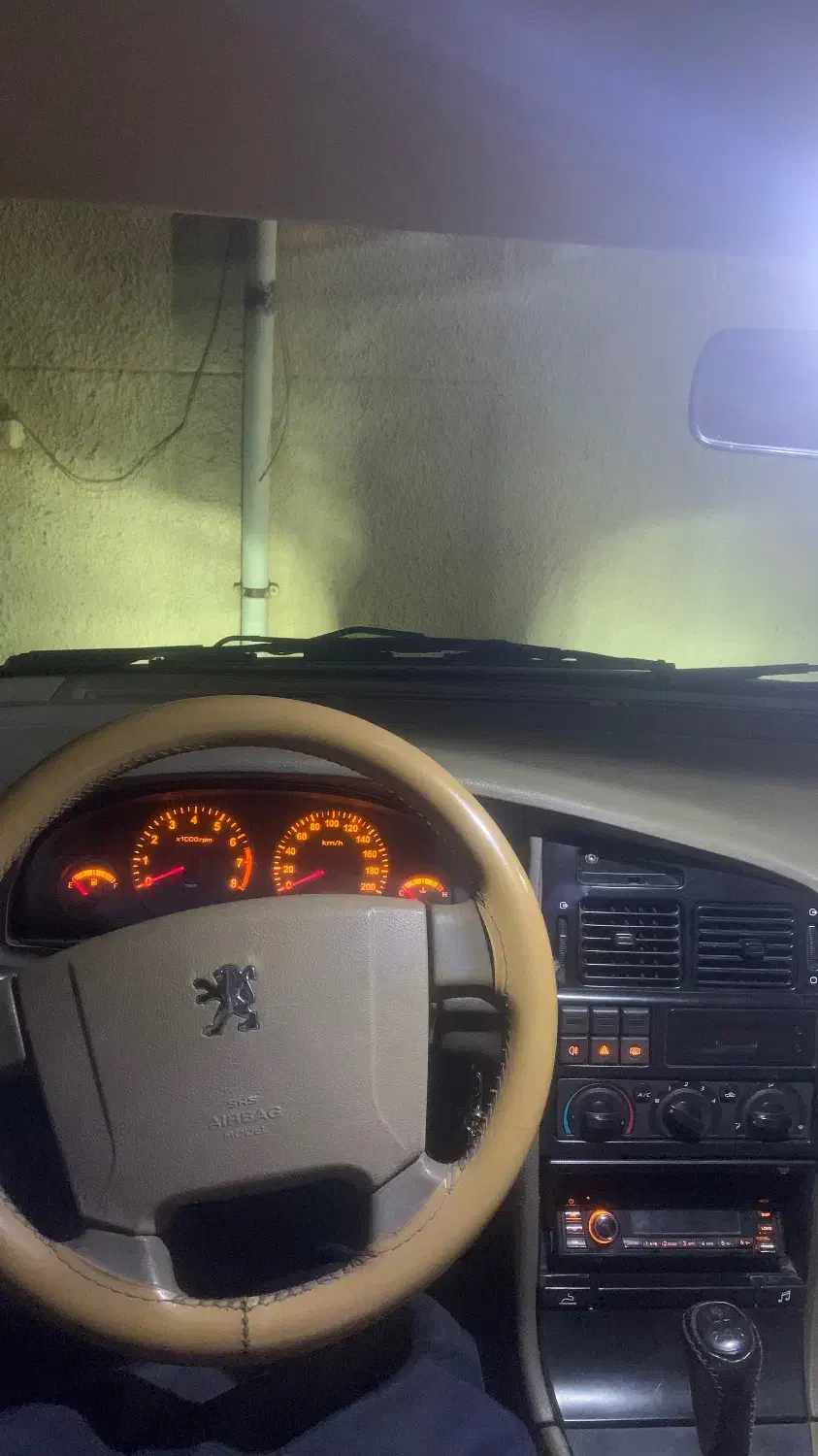 پژو 405 GLX - دوگانه سوز - 1389
