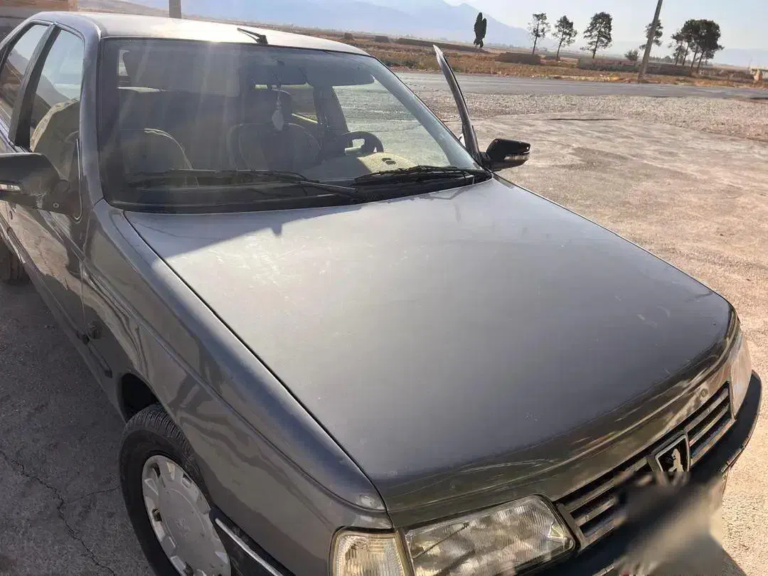 پژو 405 GLX - دوگانه سوز - 1390