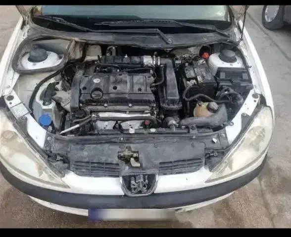 پژو ۲۰۶ صندوق دار v8 - 1395