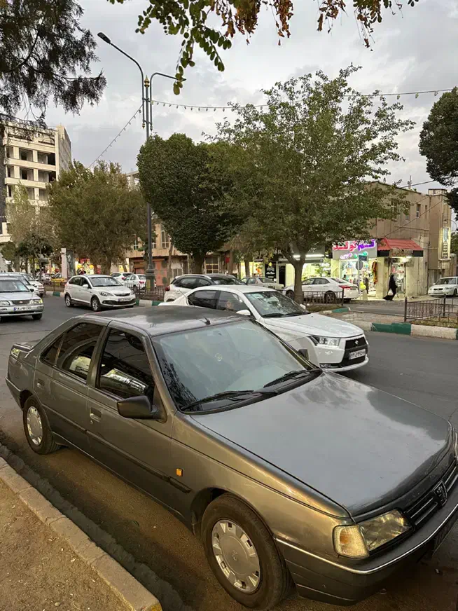 پژو 405 GLX - دوگانه سوز - 1392