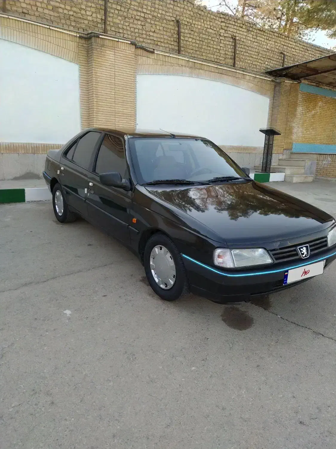 پژو 405 GLX - دوگانه سوز - 1389