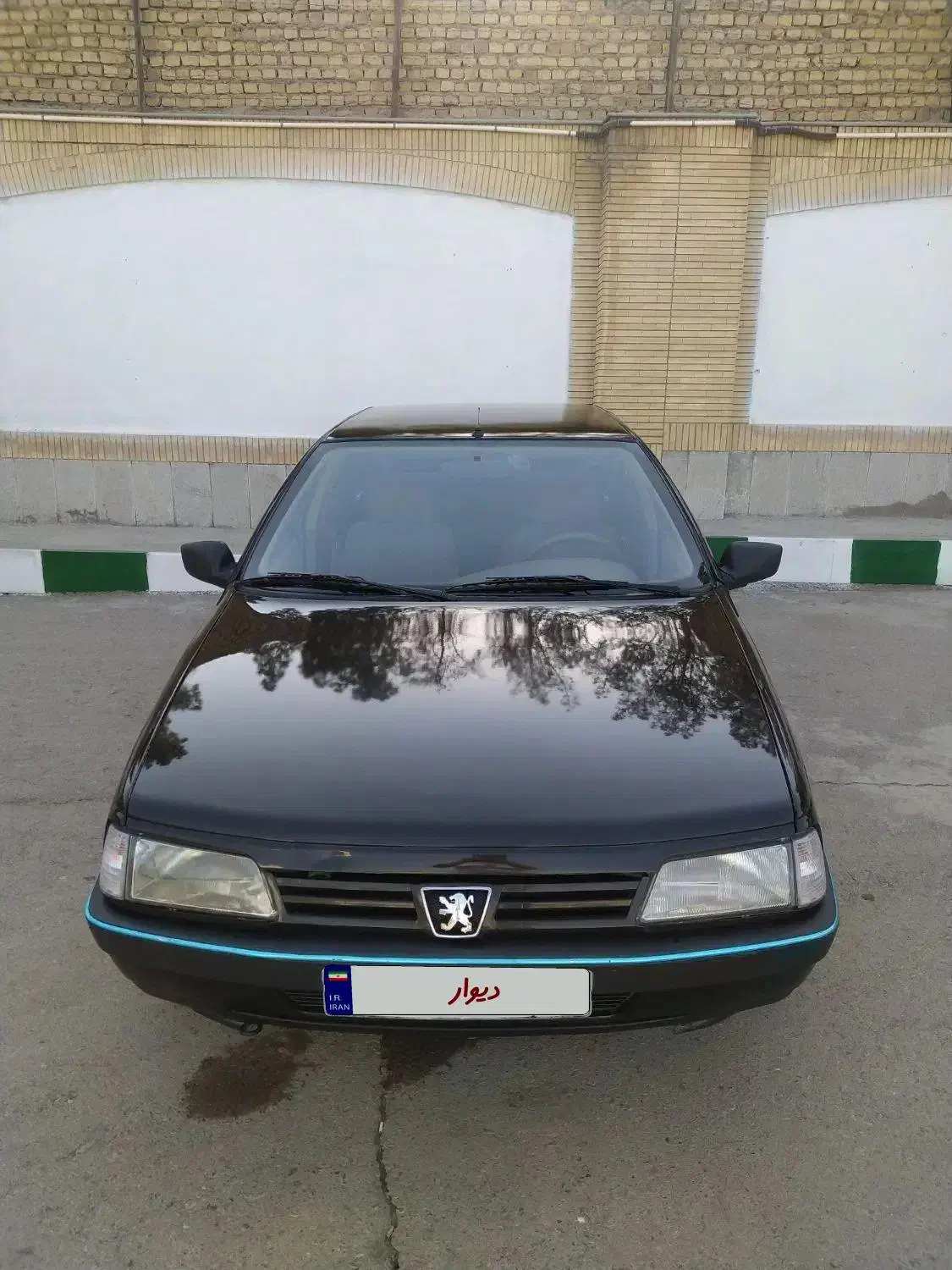 پژو 405 GLX - دوگانه سوز - 1389