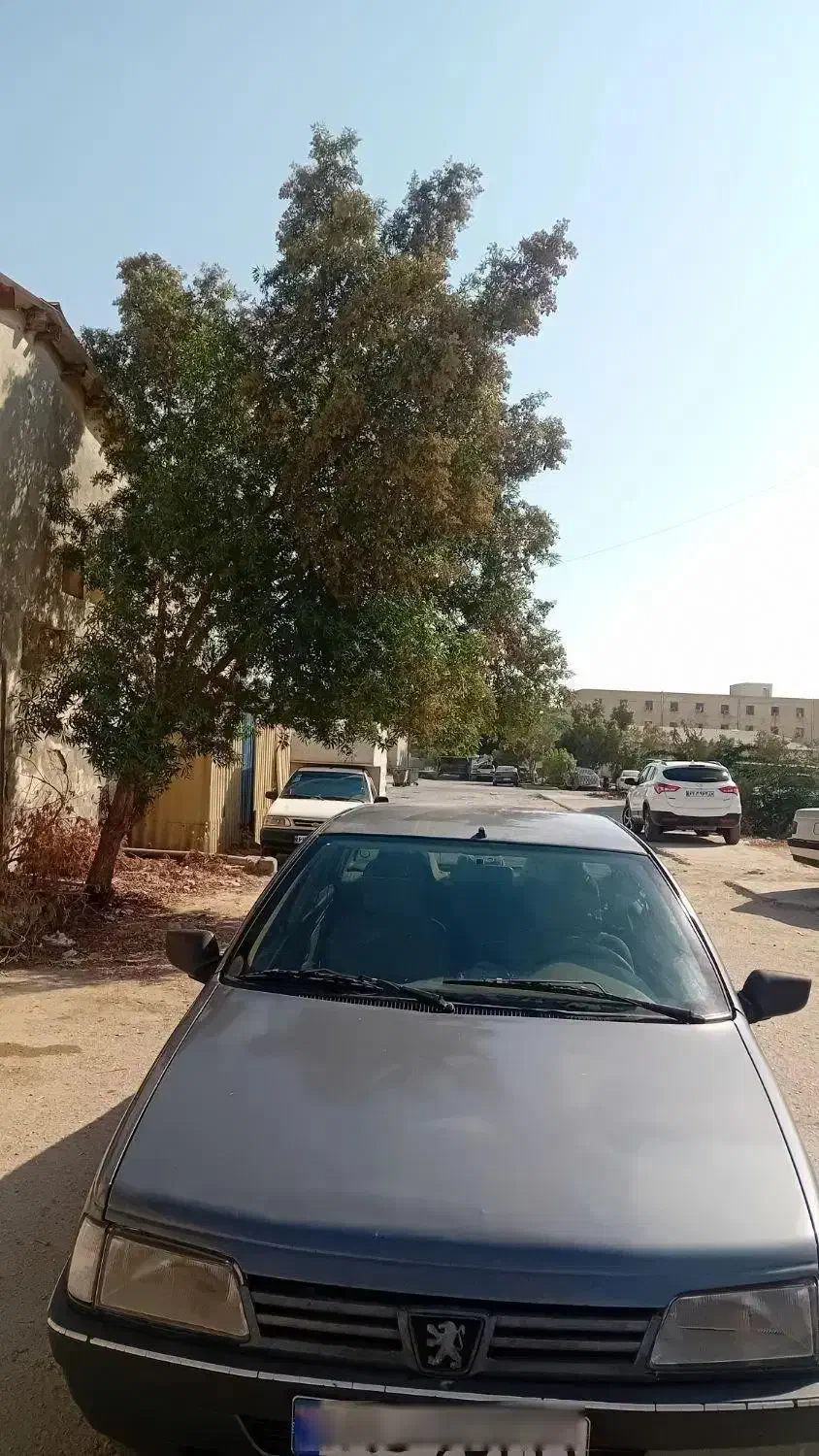 پژو 405 GLX - دوگانه سوز - 1396