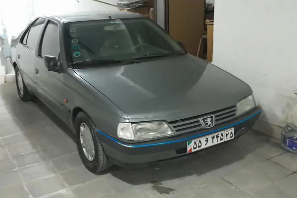 پژو 405 GLX - دوگانه سوز - 1389
