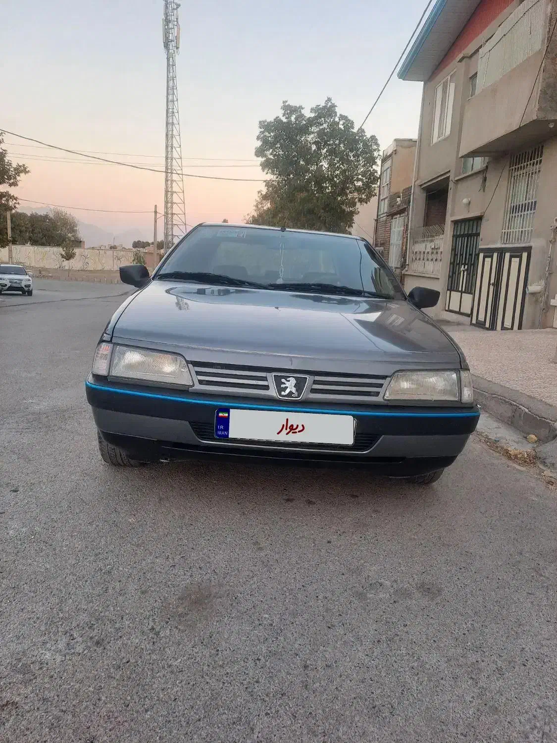 پژو 405 GLX - دوگانه سوز - 1386