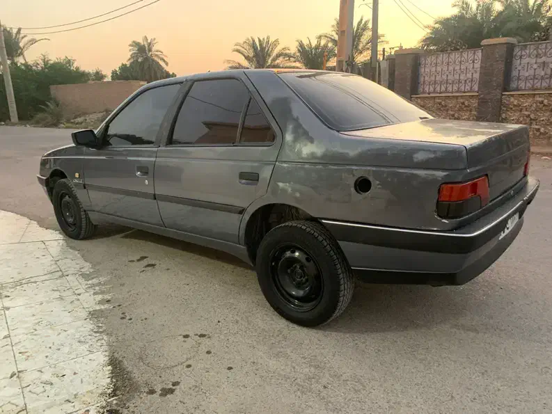 پژو 405 GLX - دوگانه سوز - 1393