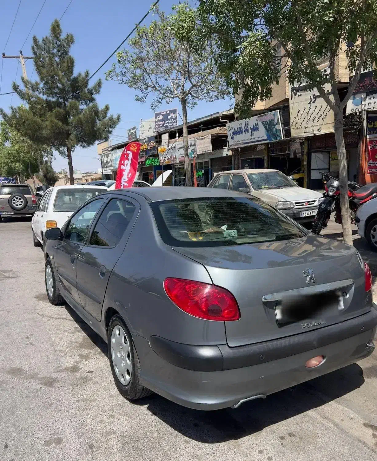 پژو 206 تیپ 5 - 1393