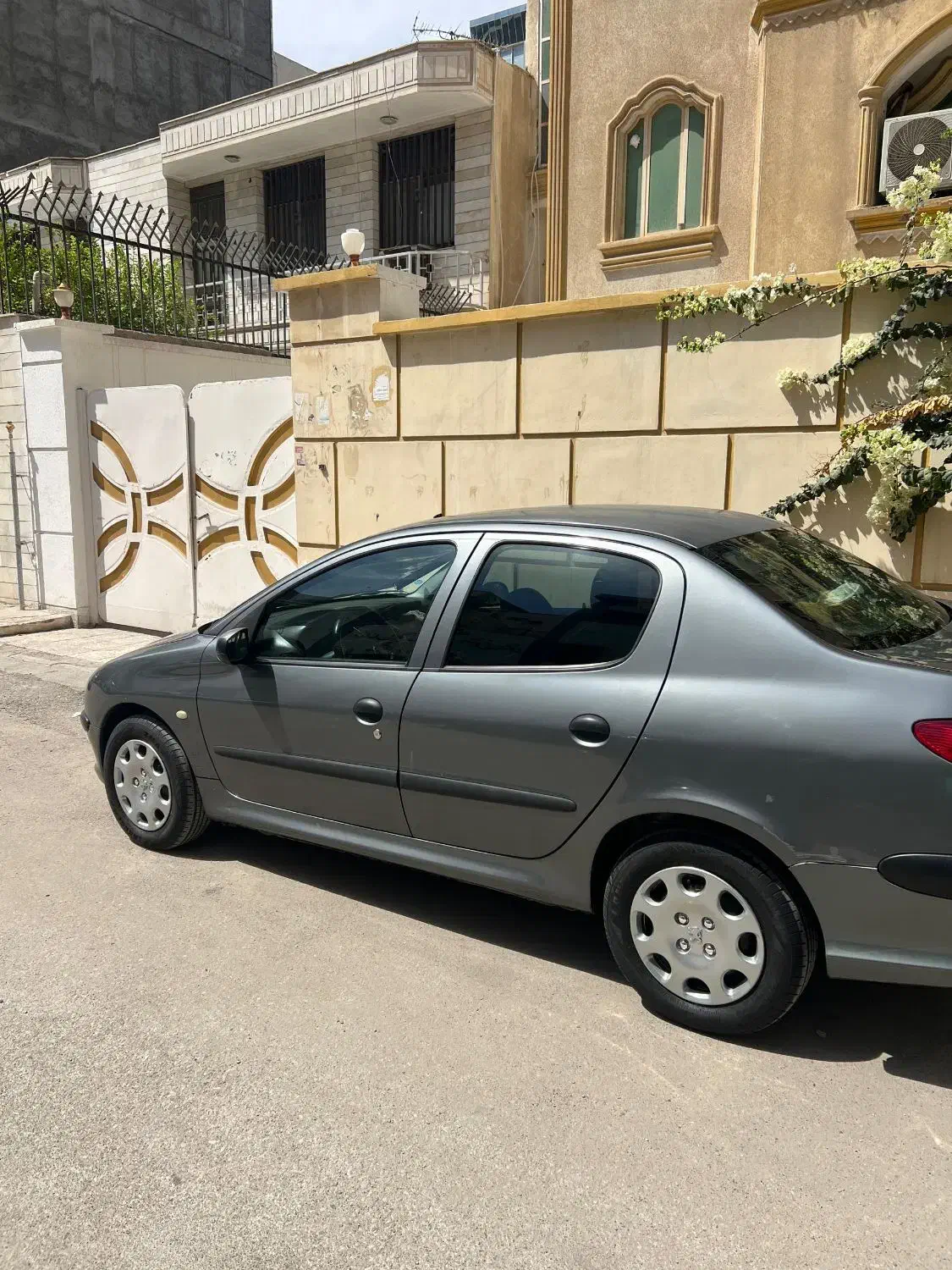 پژو 206 تیپ 5 - 1393