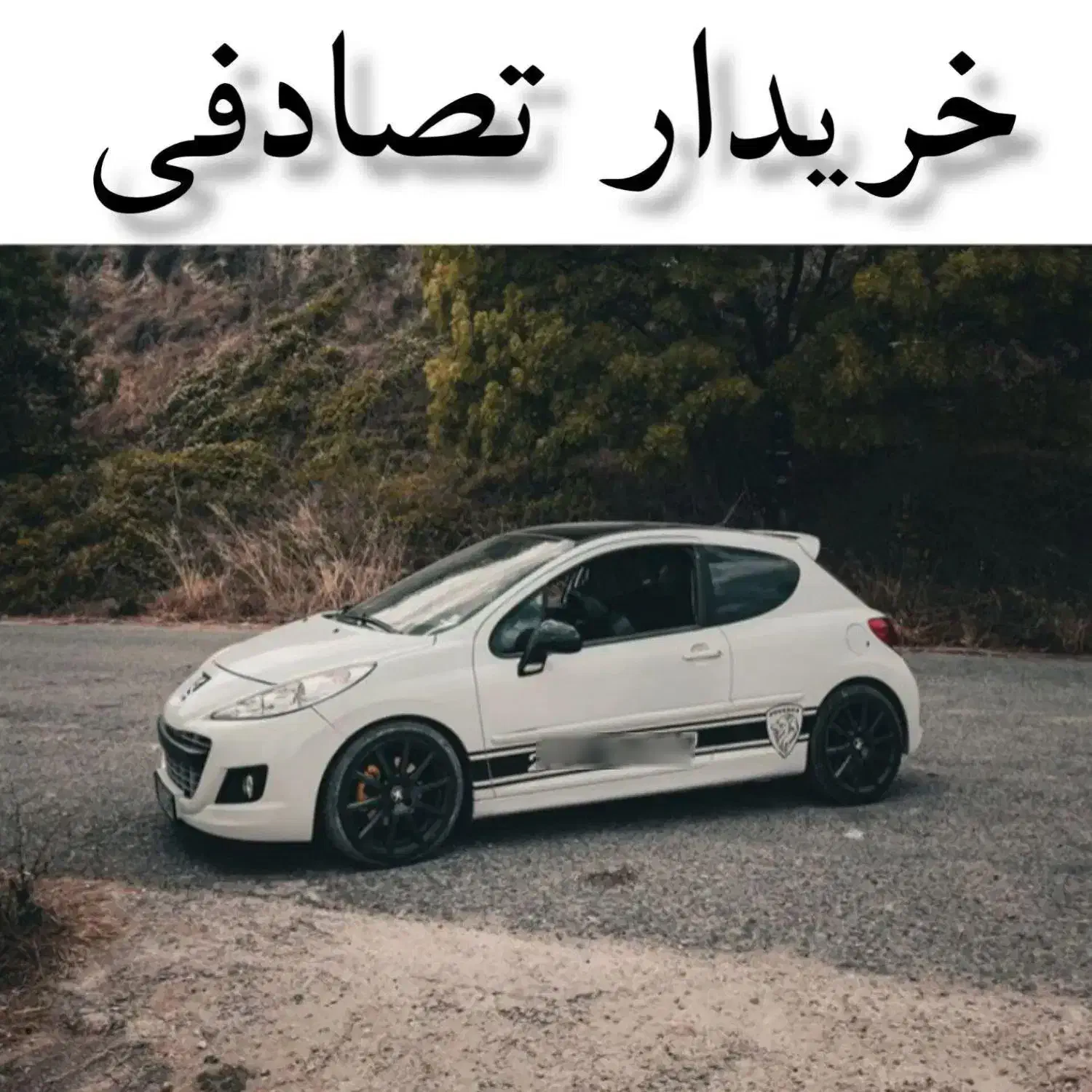 خودرو پژو، 206 آگهی ann_20839817