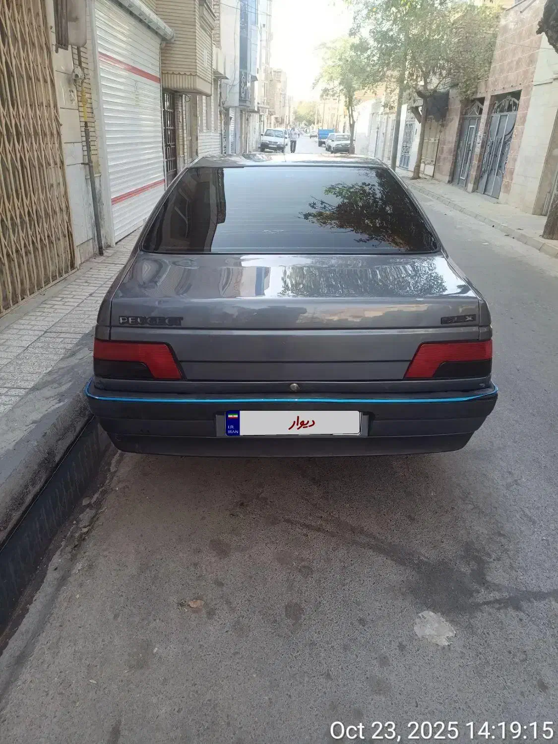 پژو 405 GLX - دوگانه سوز - 1394