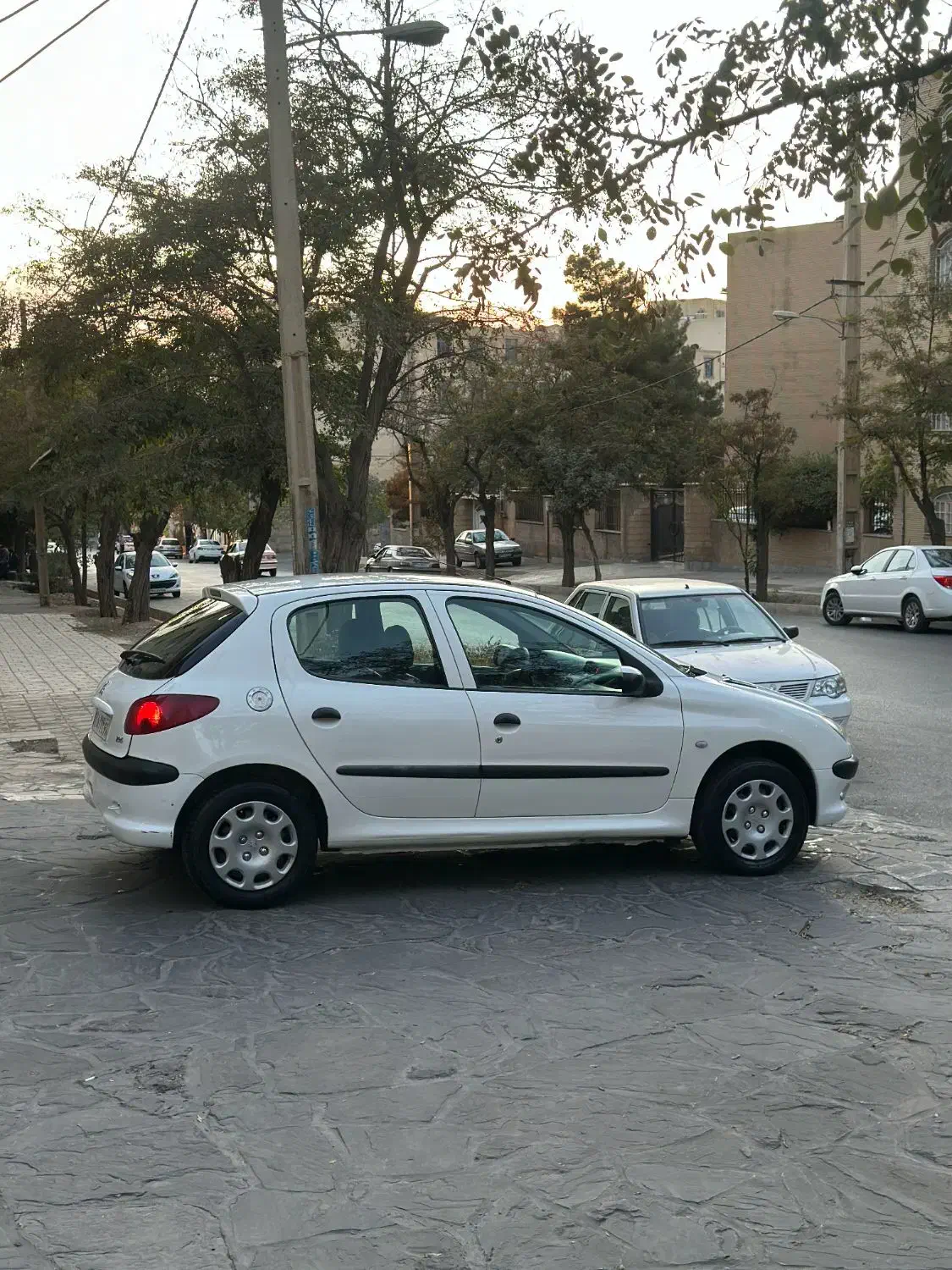 پژو 206 تیپ 5 - 1393