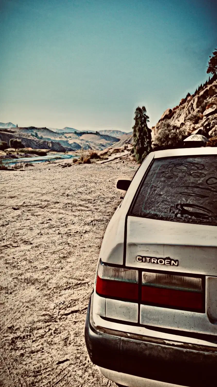 سیتروئن زانتیا SX - 1388