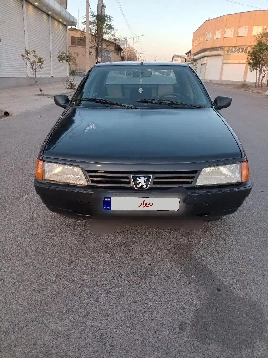 پژو روآ دوگانه سوز - 1388