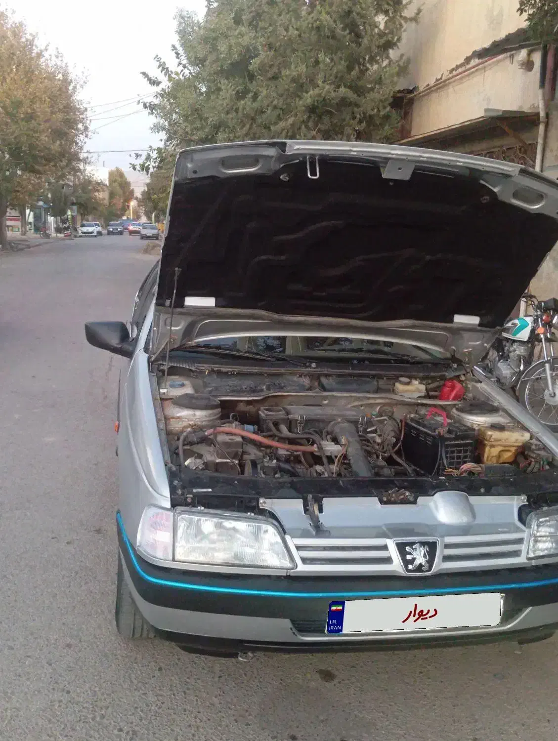پژو 405 GLX - دوگانه سوز - 1391
