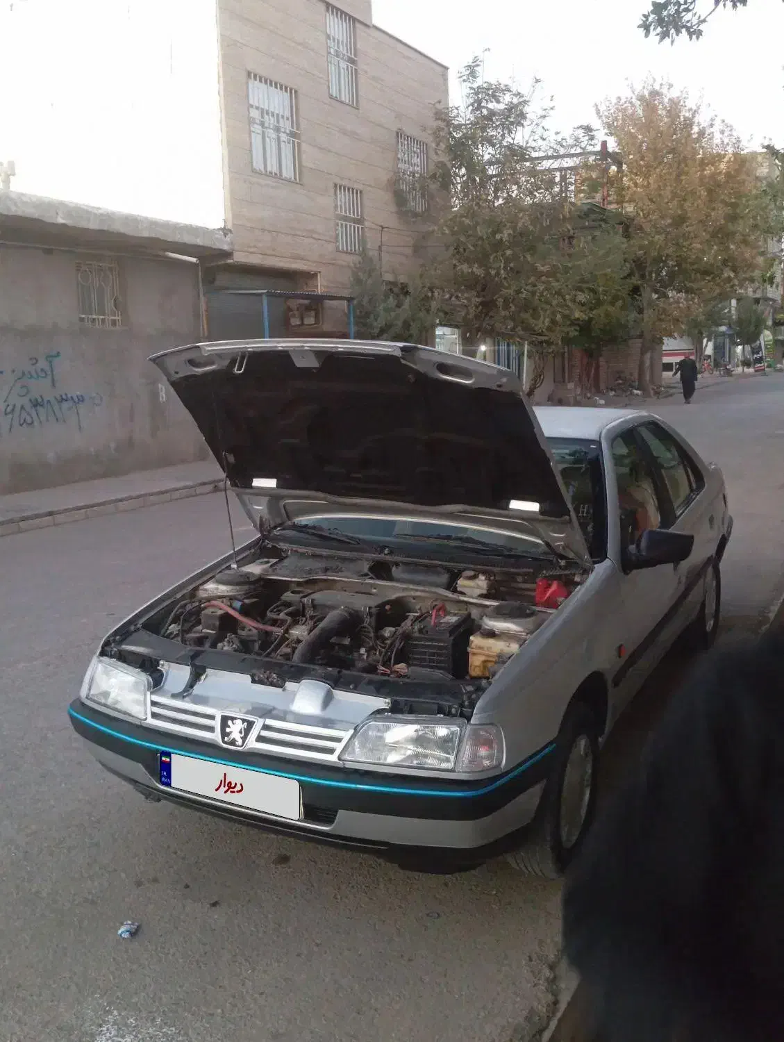 پژو 405 GLX - دوگانه سوز - 1391