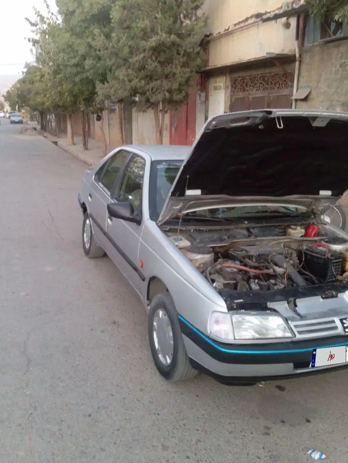 پژو 405 GLX - دوگانه سوز - 1391