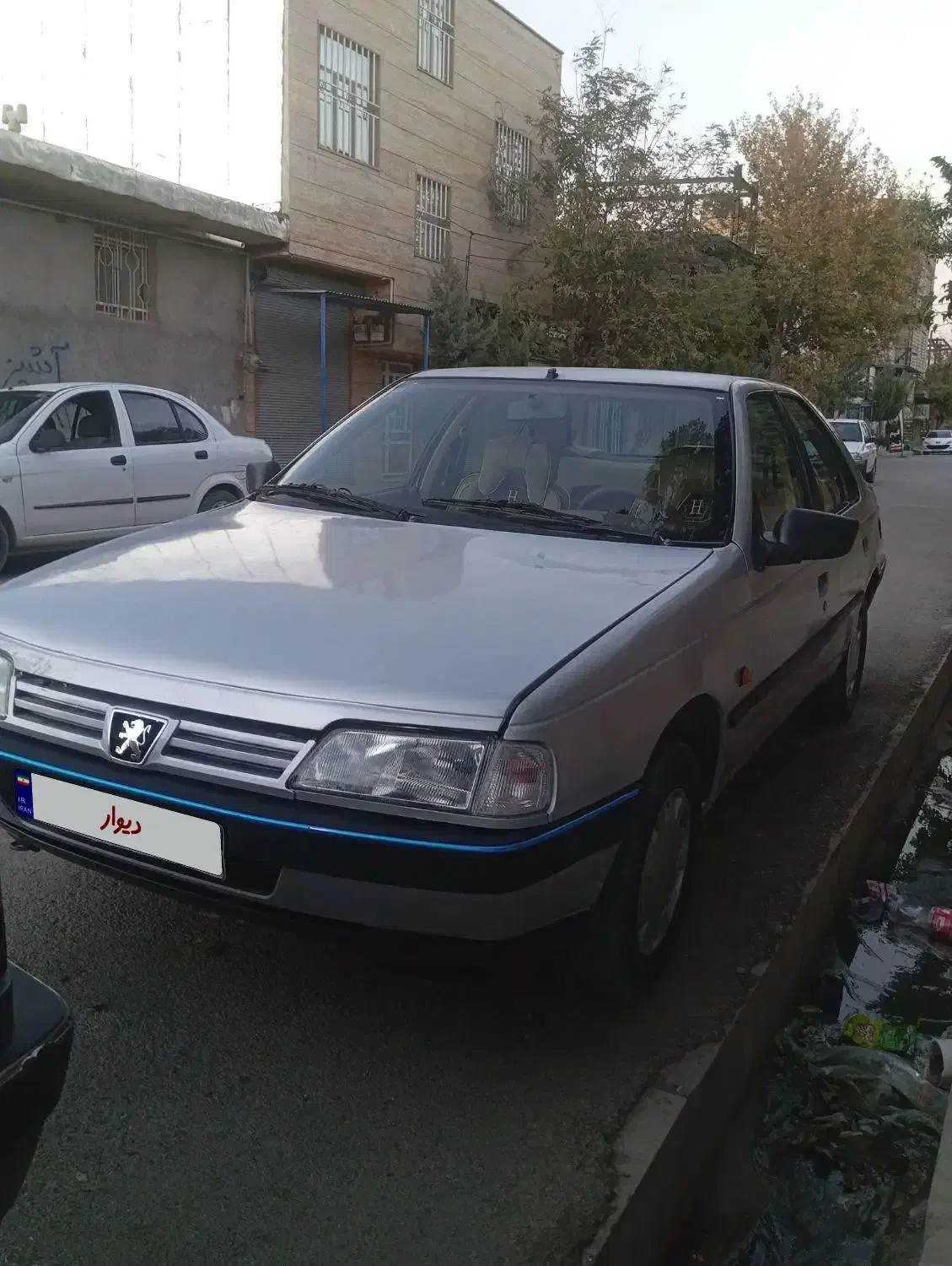 پژو 405 GLX - دوگانه سوز - 1391