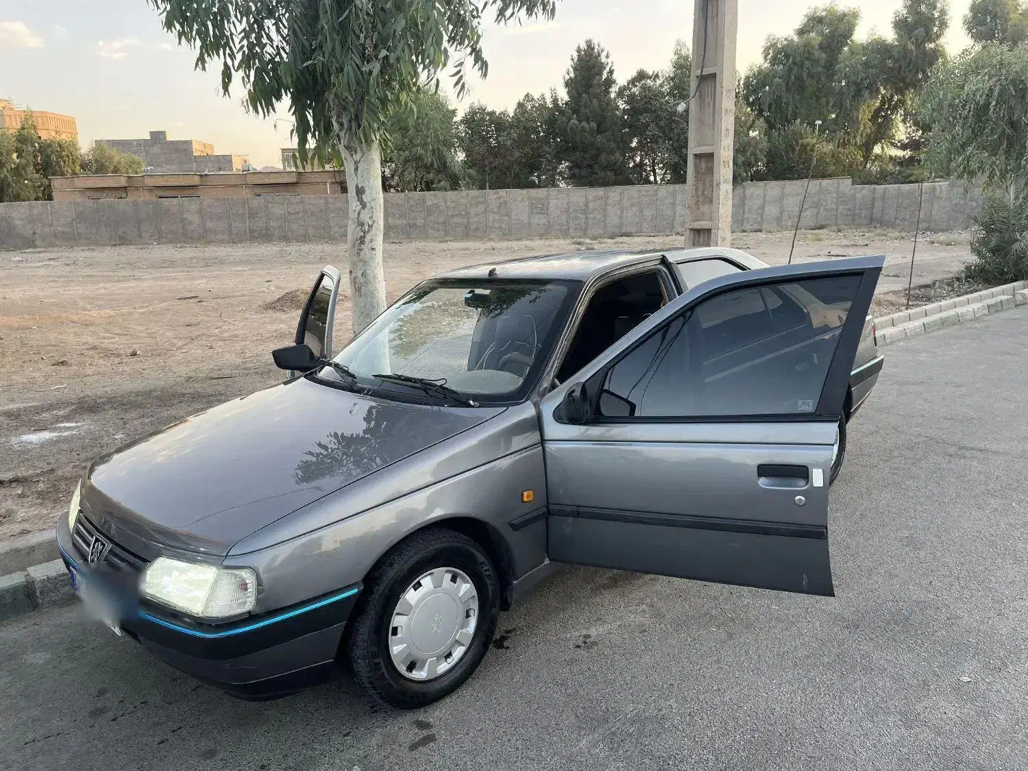پژو 405 GLX - دوگانه سوز - 1391
