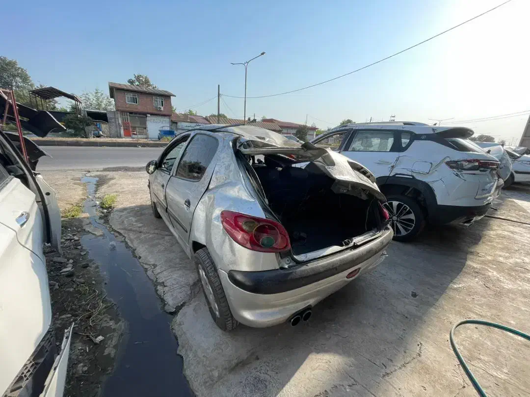 پژو 405 GLX - دوگانه سوز - 1381