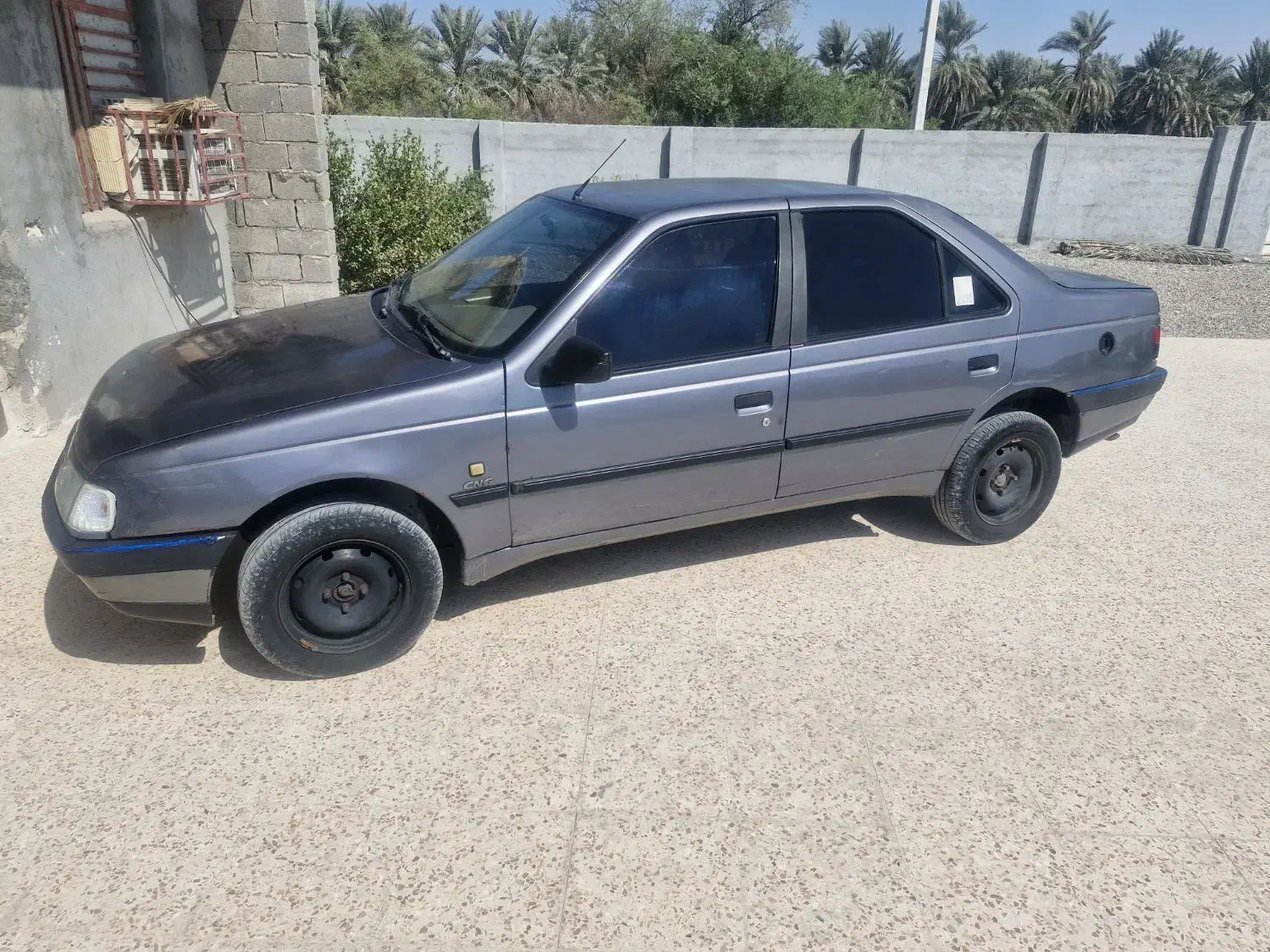 پژو 405 GLX - دوگانه سوز - 1395