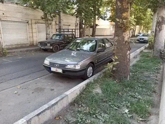 پژو 405 GLX - دوگانه سوز - 1391