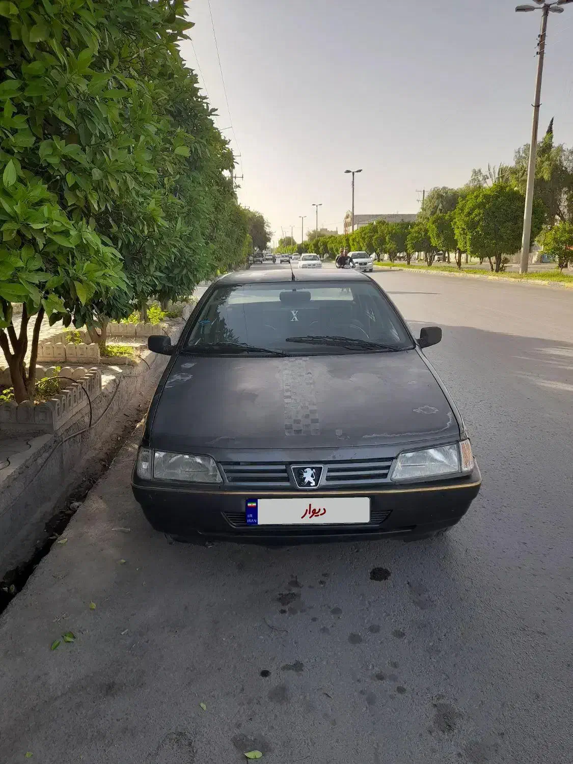 پژو روآ دوگانه سوز - 1387