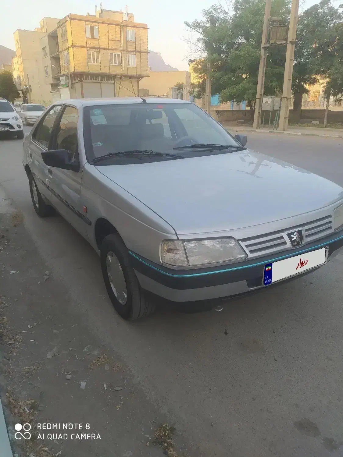 پژو 405 GLX - دوگانه سوز - 1391