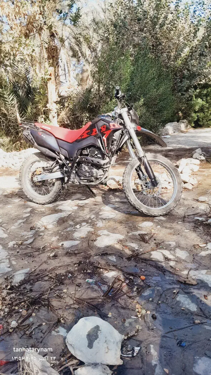 خودرو تیبا، صندوق دار آگهی ann_20846439