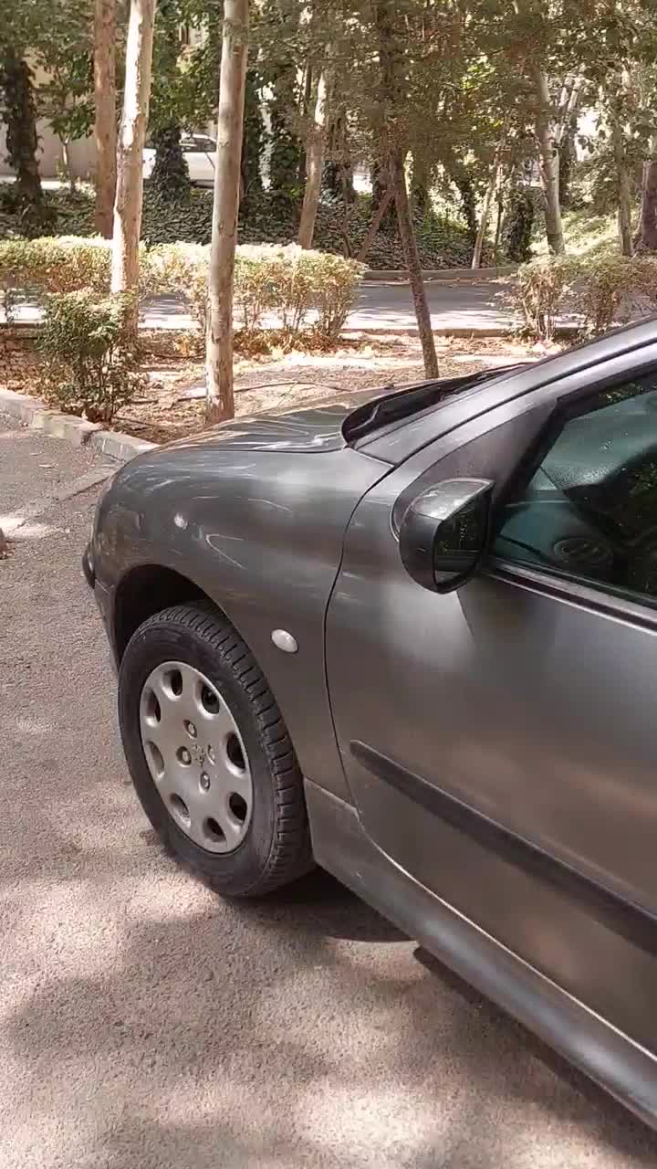 خودرو پژو، 206 آگهی ann_20846666