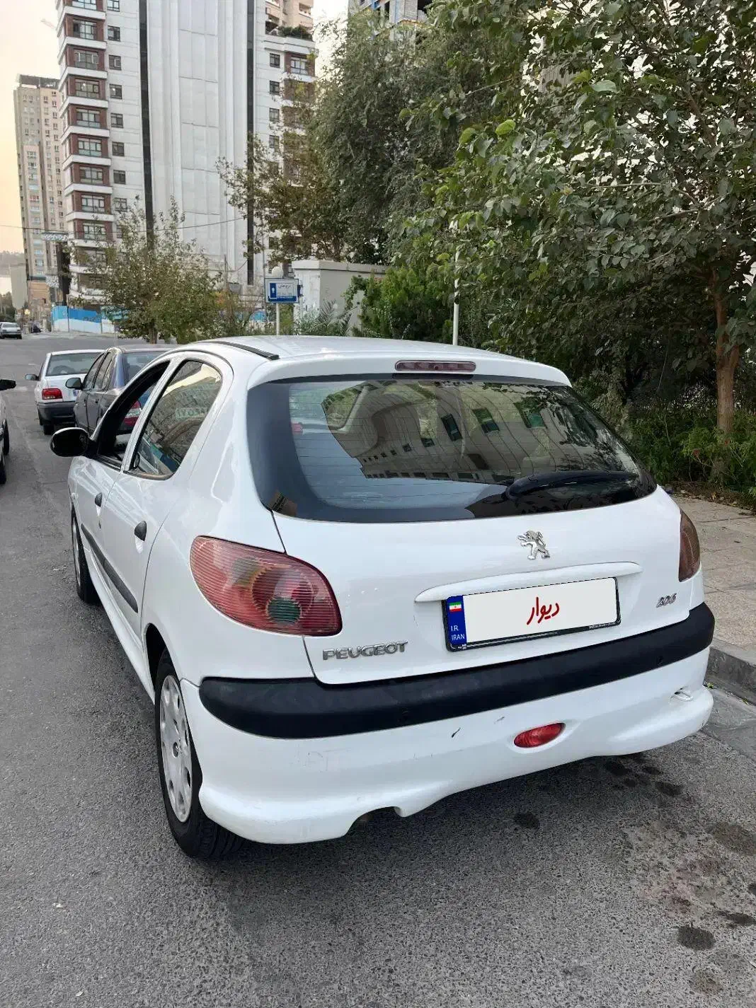 پژو 206 تیپ 5 - 1393