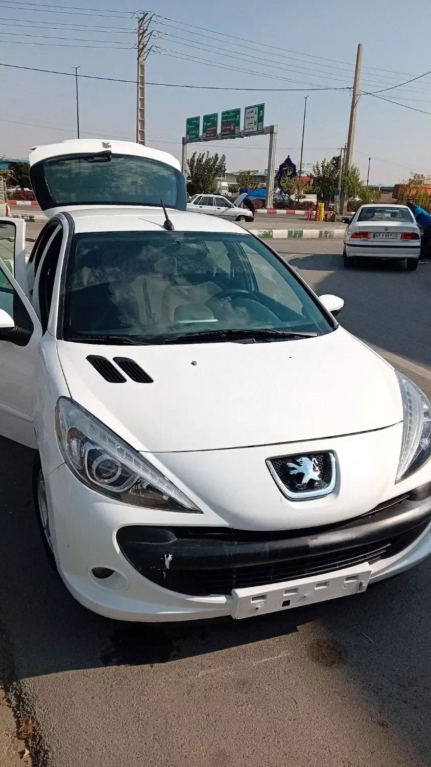 خودرو پژو، 207 آگهی ann_20846791