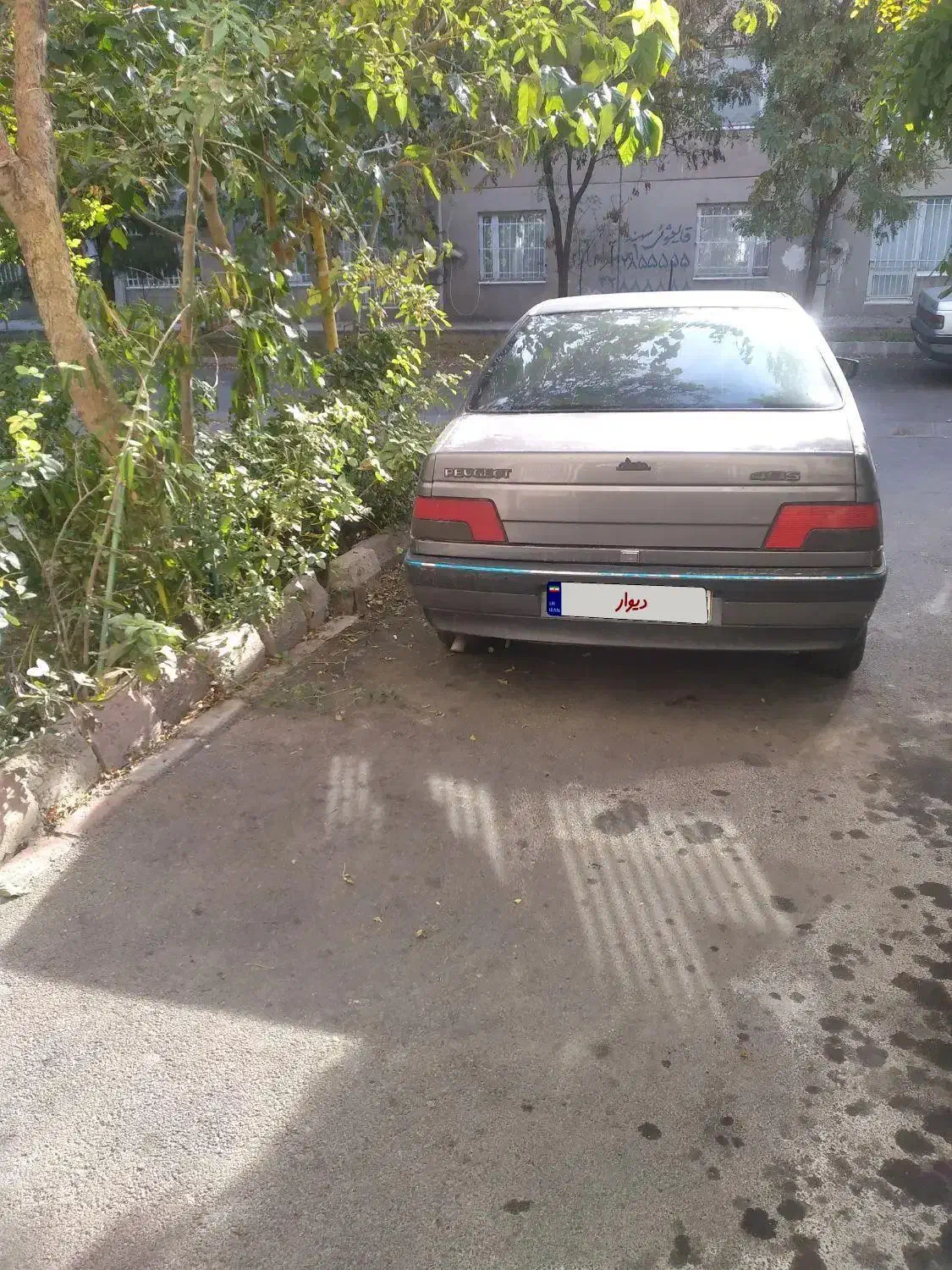 پژو 405 GLX - دوگانه سوز - 1392