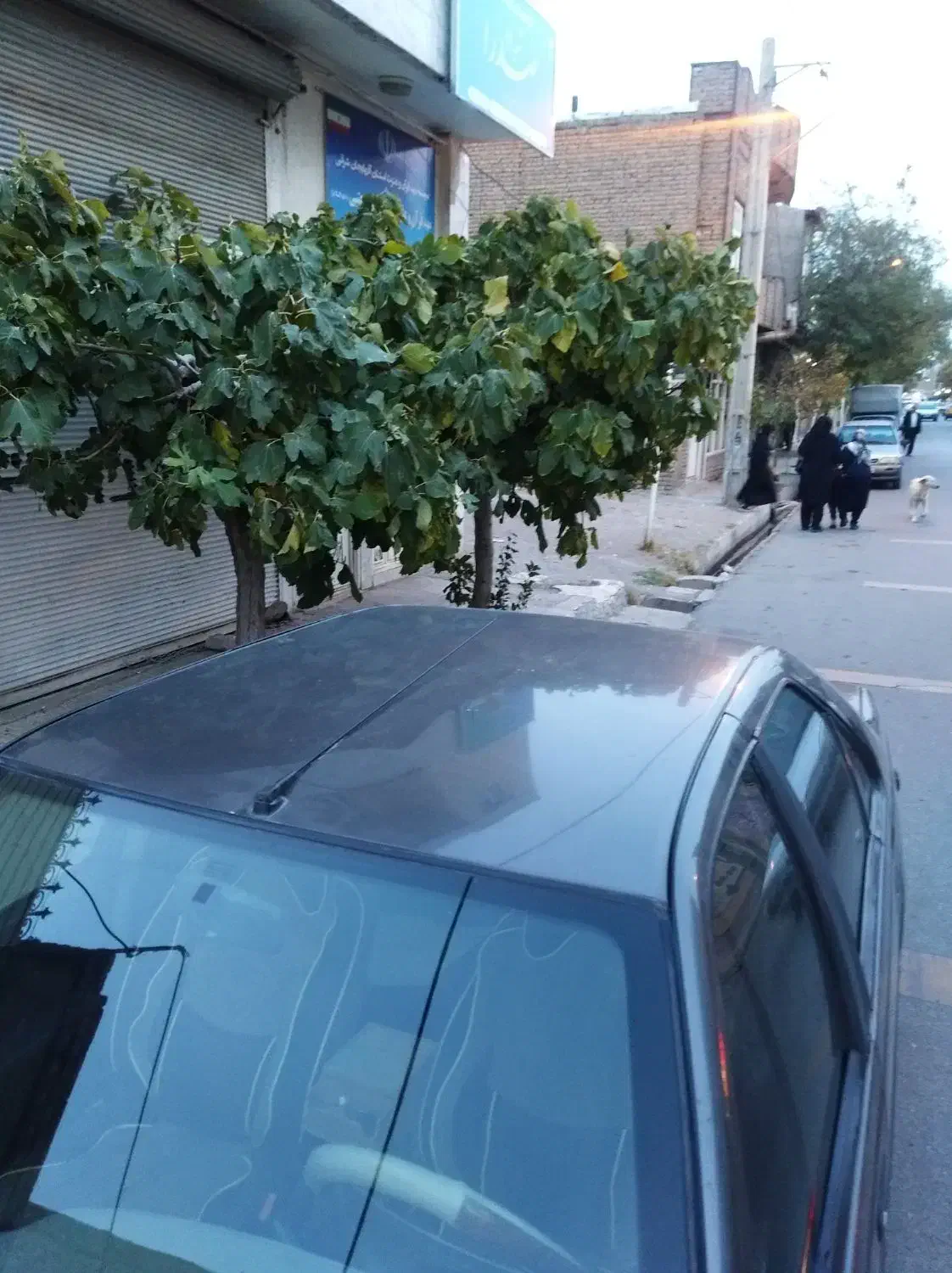 پژو روآ دوگانه سوز - 1387