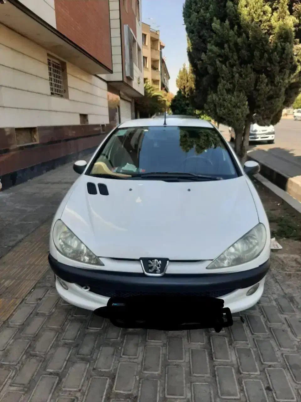 پژو ۲۰۶ صندوق دار v8 - 1399