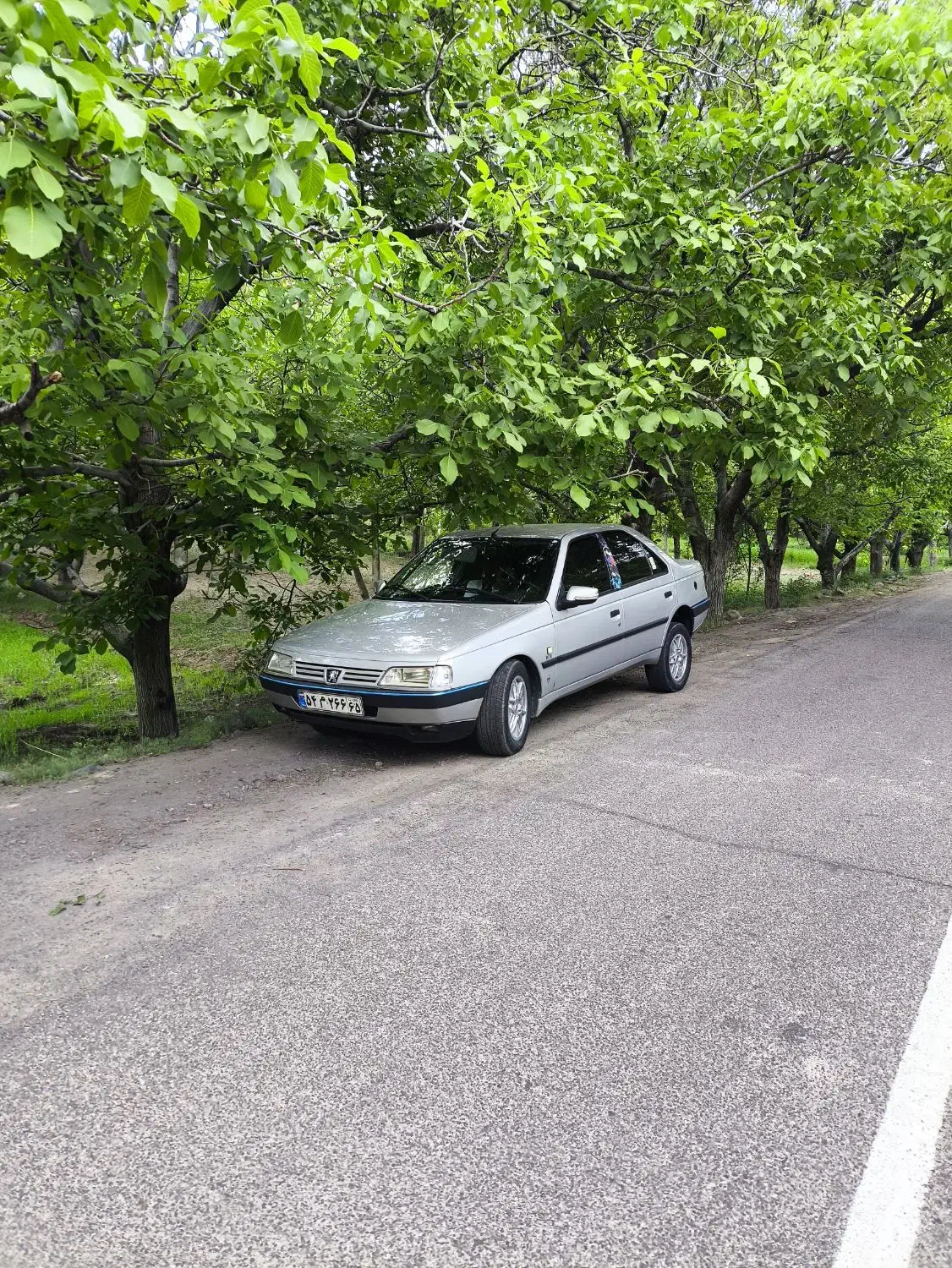 پژو 405 GLX - دوگانه سوز - 1388