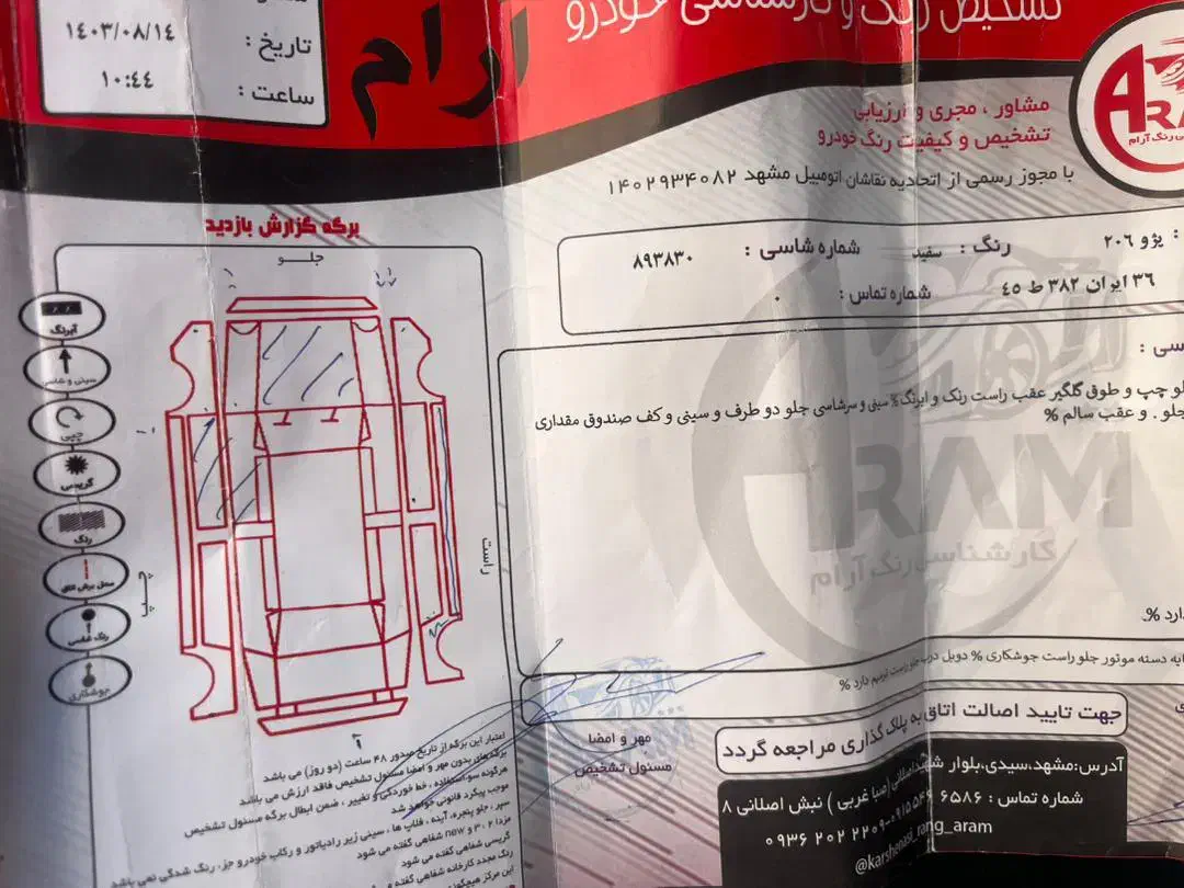 پژو 206 تیپ 5 - 1395