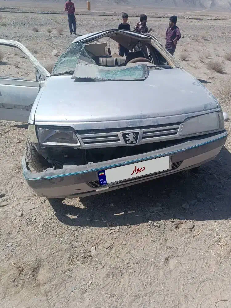 خودرو پژو، 405 آگهی ann_20849696